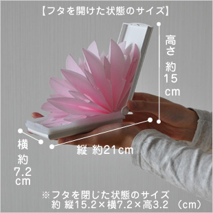 水を注ぐだけの簡単加湿器「ちょこっとオアシスプラス」